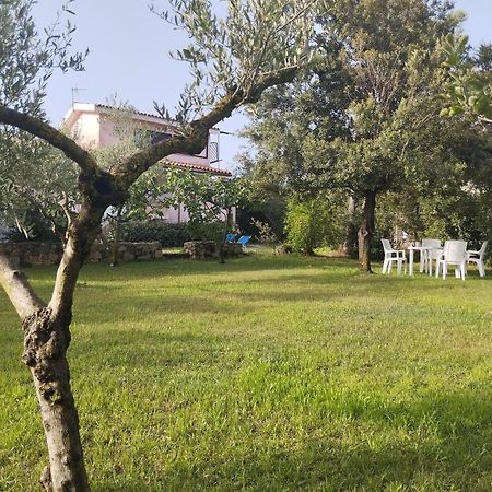 Appartamento In Villa Bruno Olbia Exterior photo