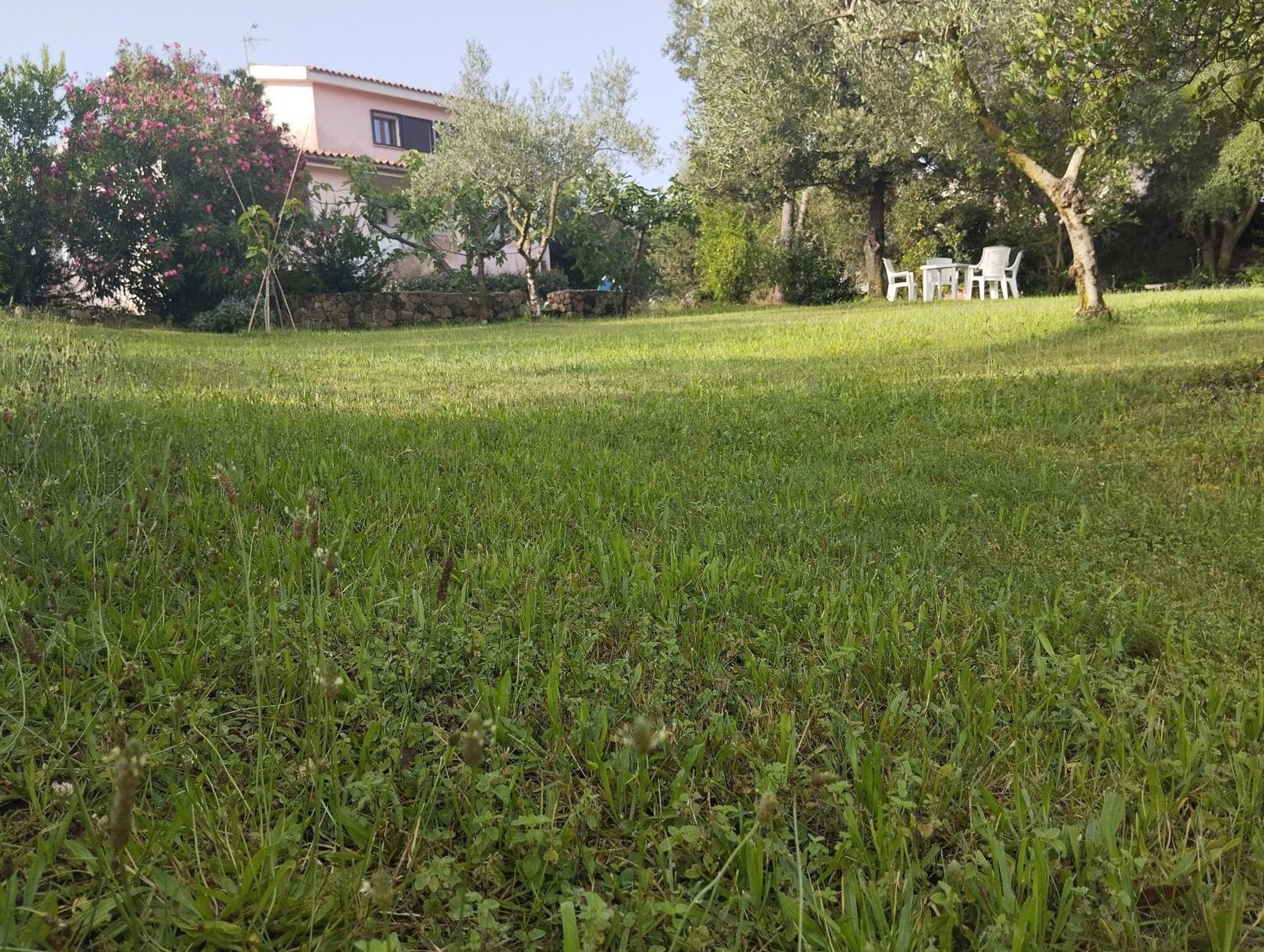 Appartamento In Villa Bruno Olbia Exterior photo